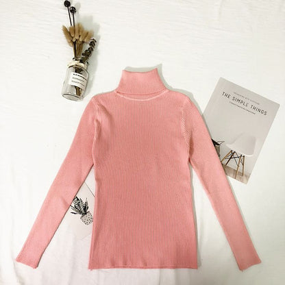 Women's High Neck Knit Sweater