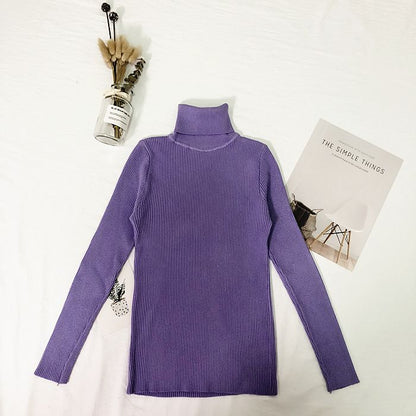 Women's High Neck Knit Sweater