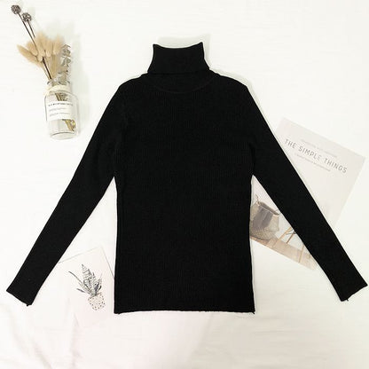 Women's High Neck Knit Sweater