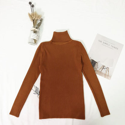 Women's High Neck Knit Sweater