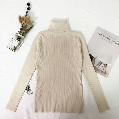 Women's High Neck Knit Sweater